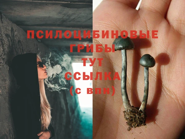прущая мука Алзамай
