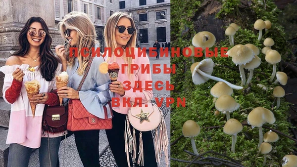 прущая мука Алзамай